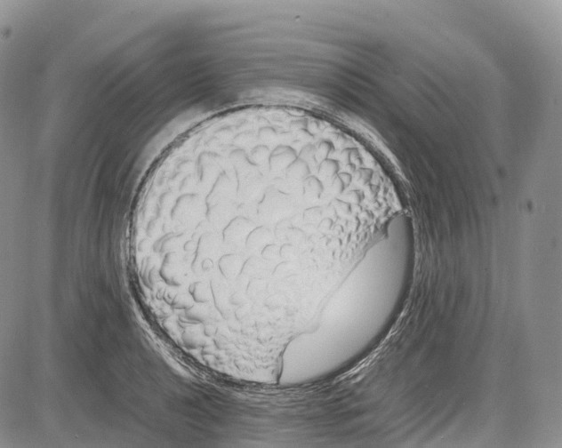 X0000081611040200702051349