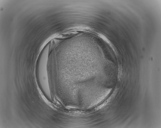 X0000081611042200702051349