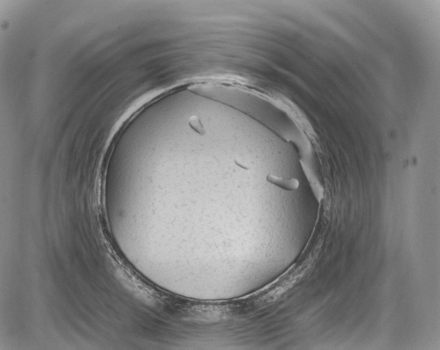 X0000081611044200702051349