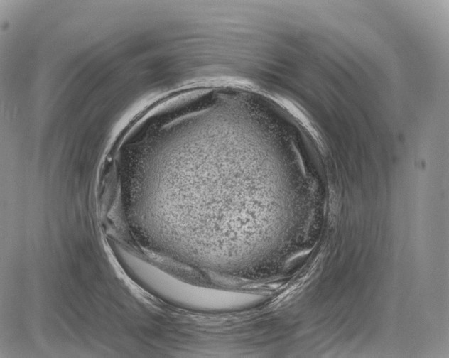 X0000081611046200702051349