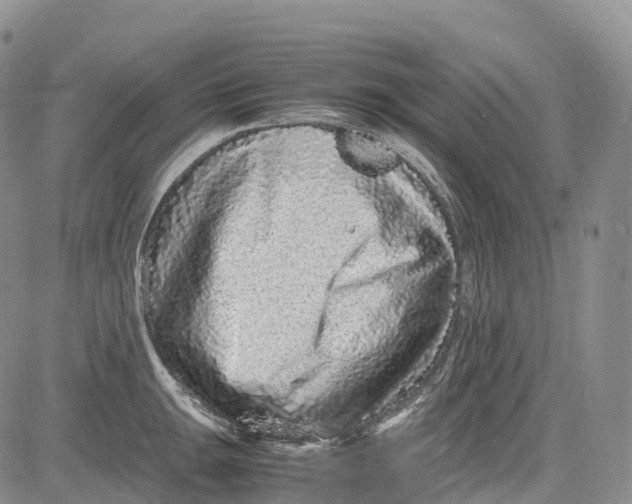 X0000081611047200702051349