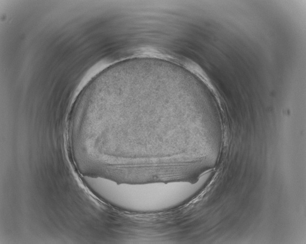 X0000081611048200702051349