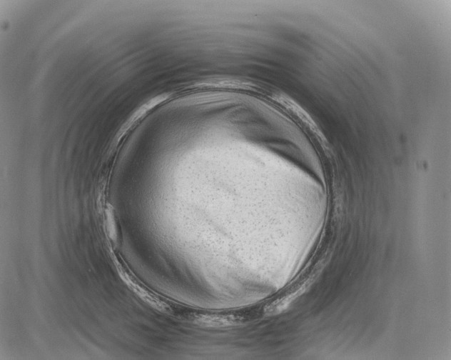 X0000081611049200702051349