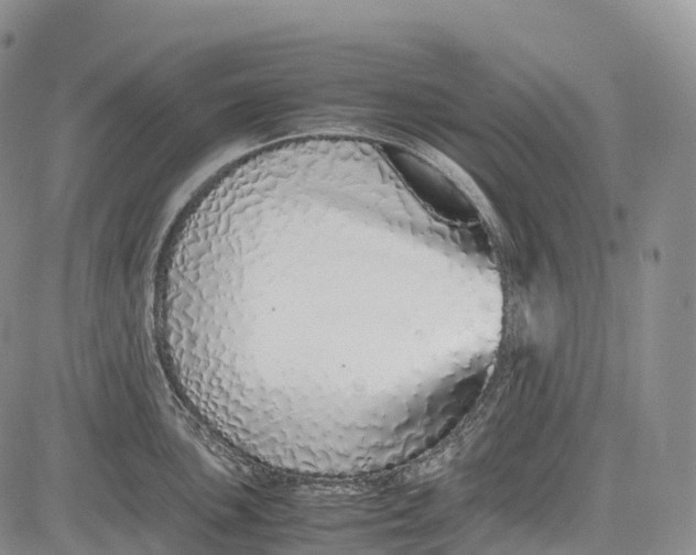 X0000081611051200702051349