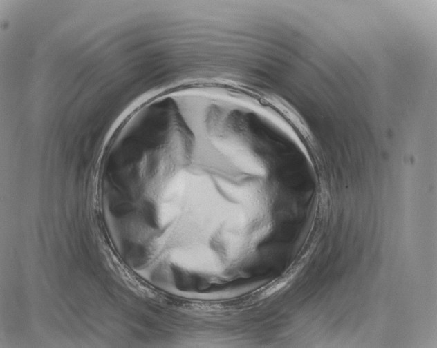 X0000081611052200702051349