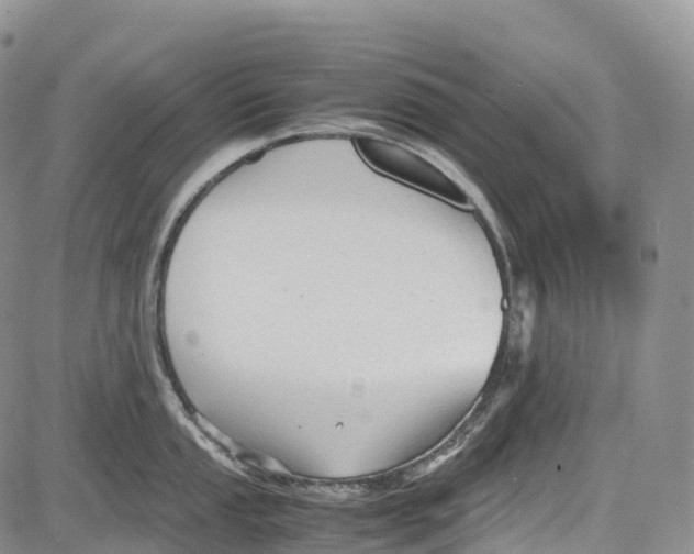 X0000081611053200702051349