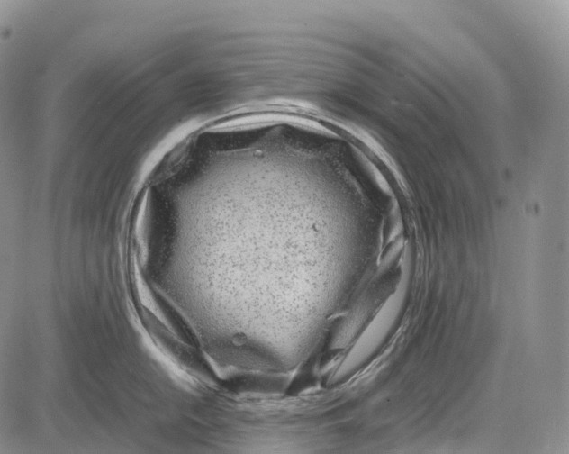 X0000081611054200702051349