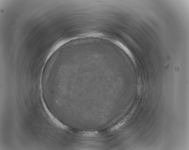 X0000081611055200702051349