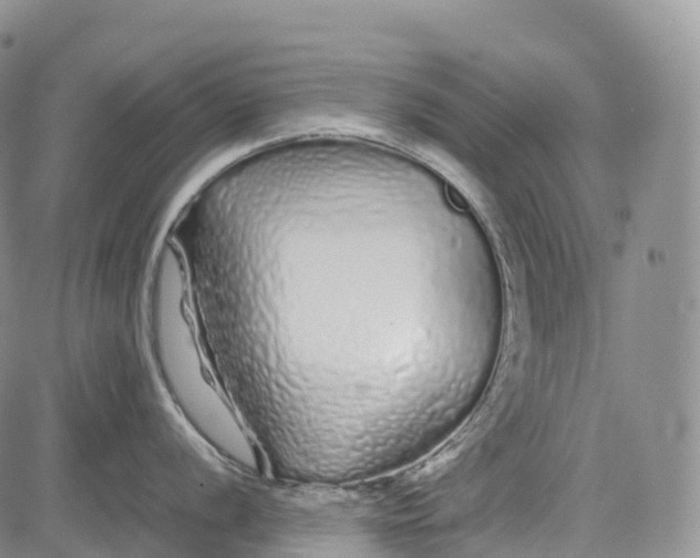 X0000081611056200702051349