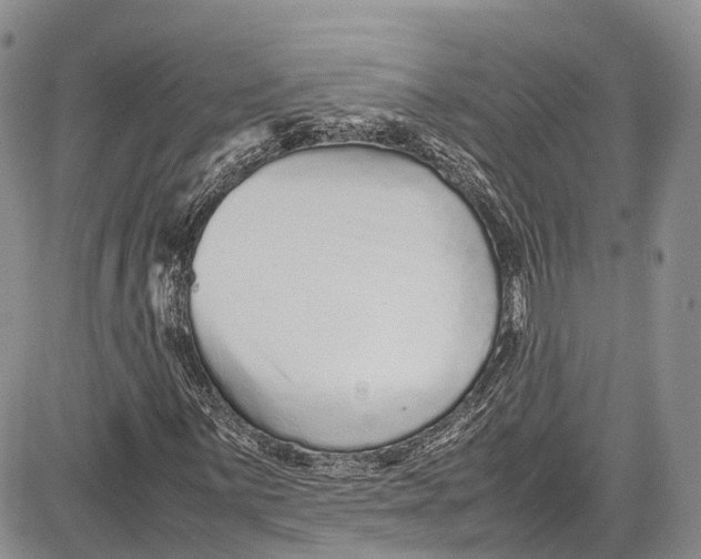 X0000081611059200702051349