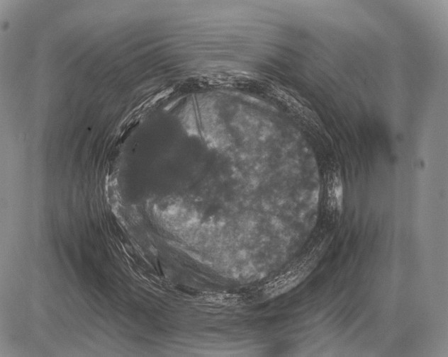 X0000081611060200702051349