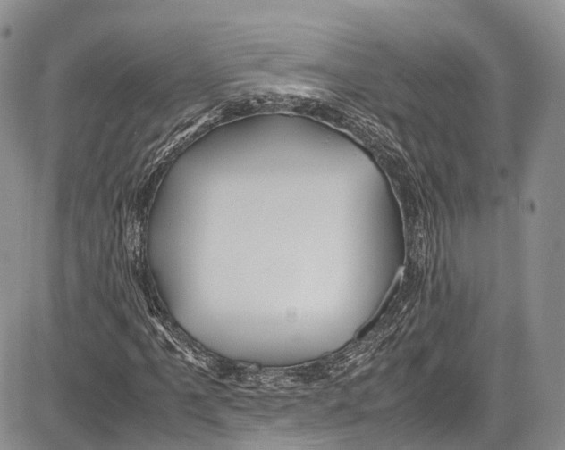 X0000081611061200702051349