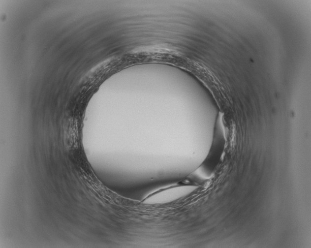 X0000081611062200702051348