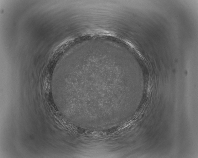 X0000081611063200702051348