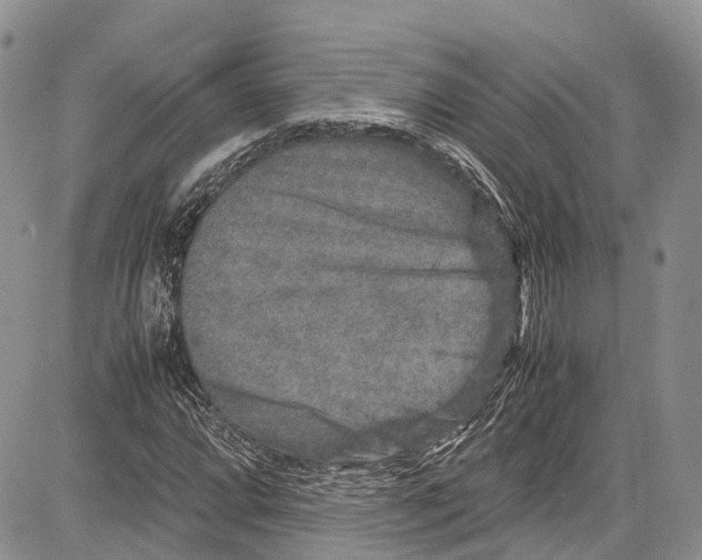 X0000081611064200702051348