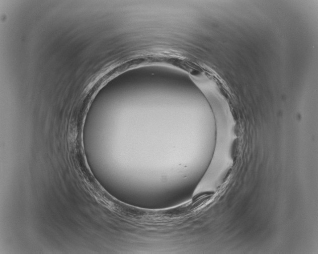 X0000081611065200702051348