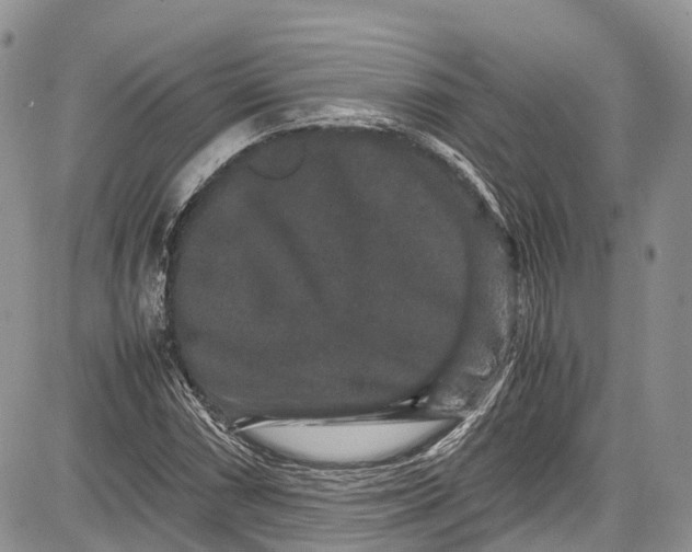 X0000081611066200702051348