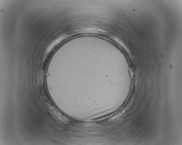 X0000081611067200702051348