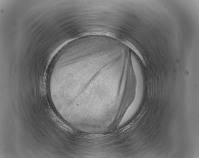 X0000081611068200702051348