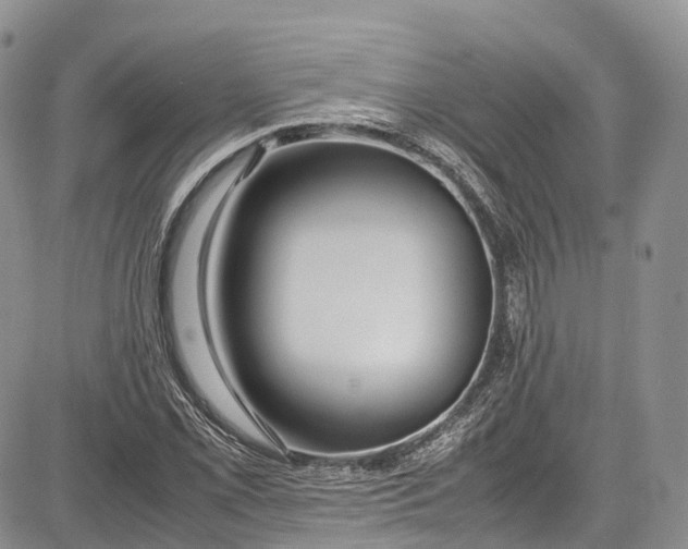 X0000081611069200702051348