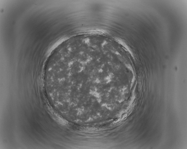 X0000081611071200702051348