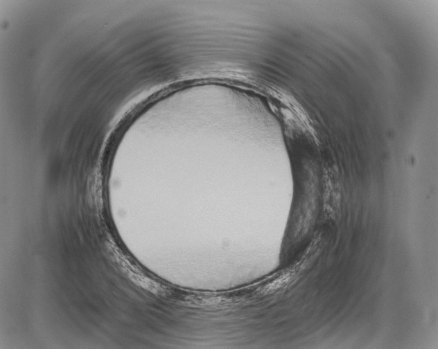 X0000081611072200702051348