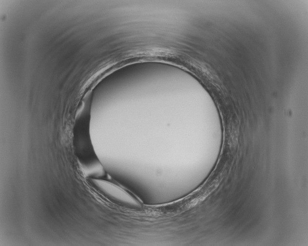 X0000081611073200702051348