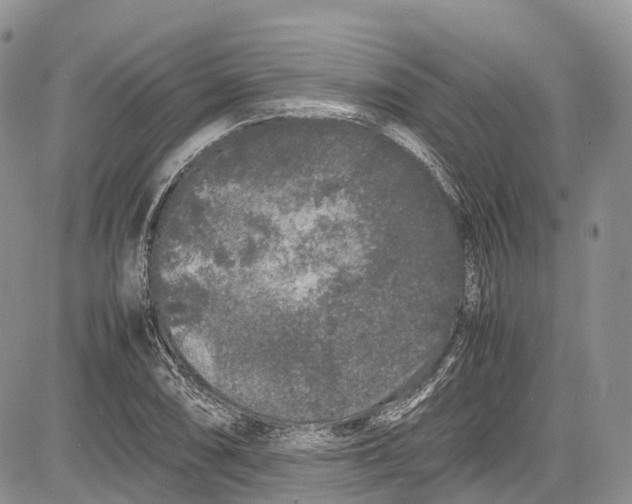 X0000081611074200702051348