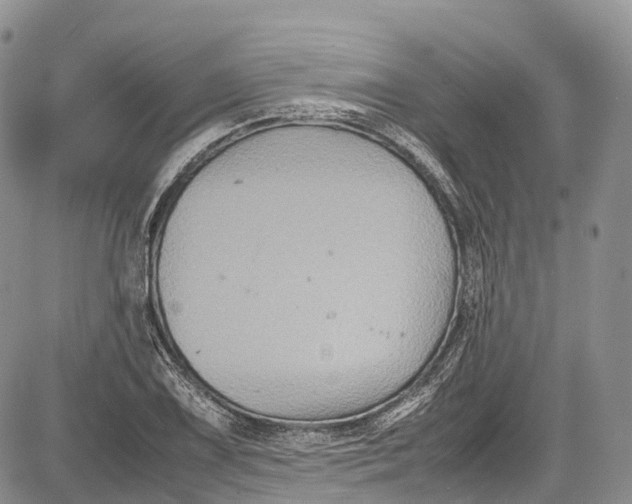 X0000081611075200702051348