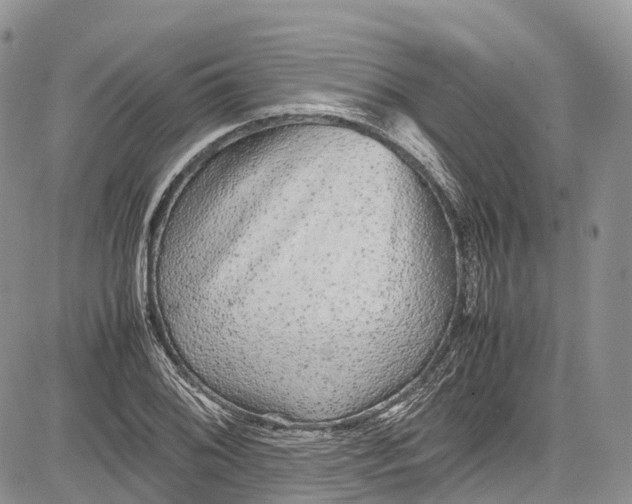 X0000081611076200702051348