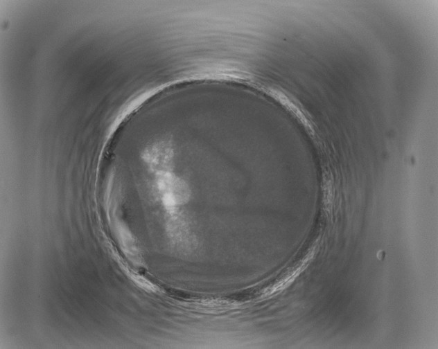 X0000081611077200702051348