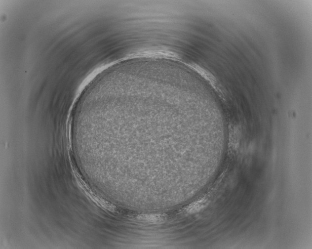 X0000081611078200702051348