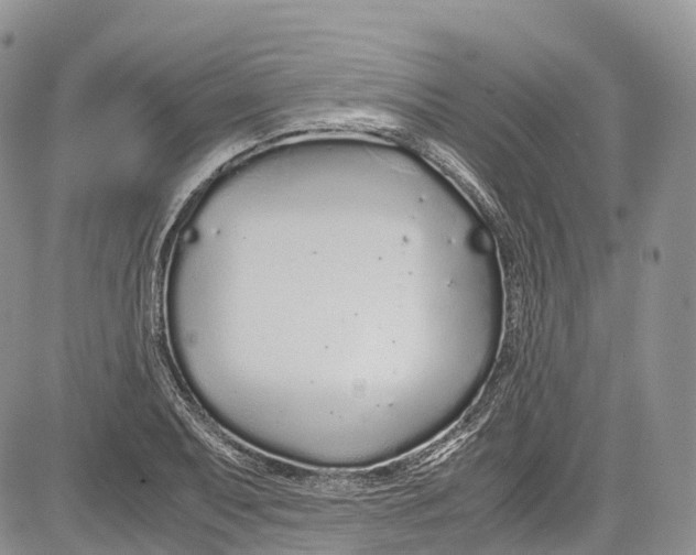 X0000081611079200702051348