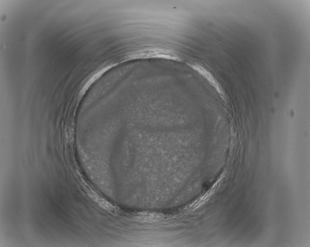 X0000081611081200702051348