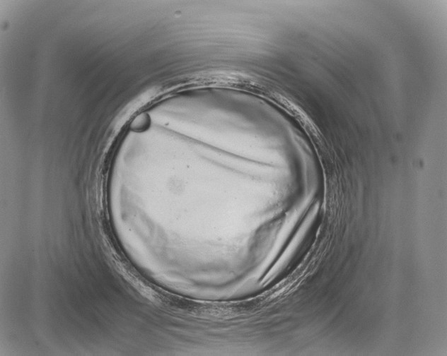 X0000081611083200702051348