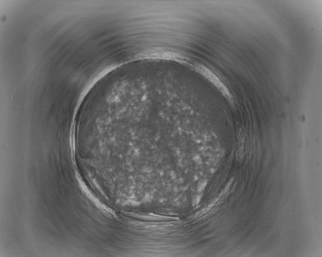 X0000081611084200702051348