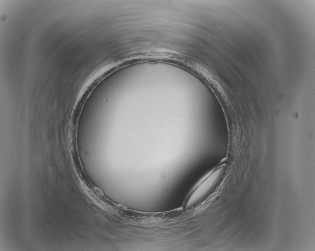 X0000081611085200702051348