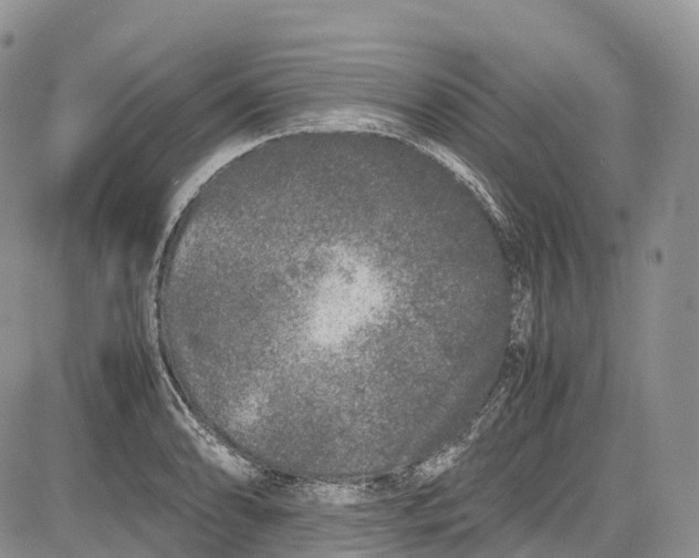 X0000081611086200702051348