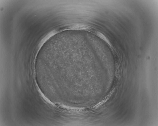 X0000081611087200702051348