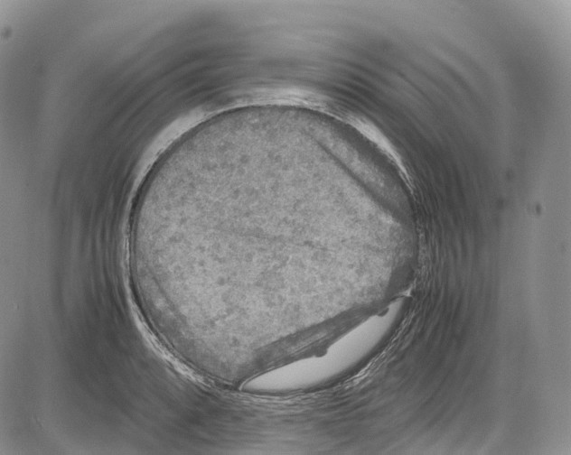 X0000081611088200702051348