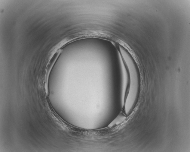 X0000081611089200702051348