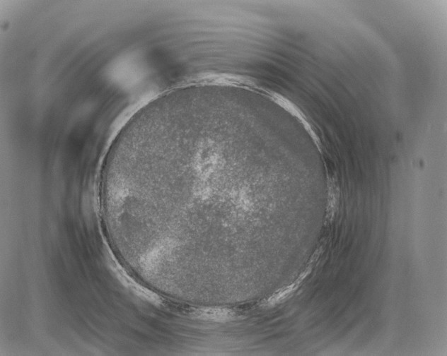 X0000081611090200702051348