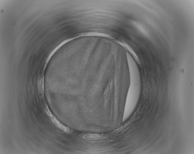 X0000081611092200702051348