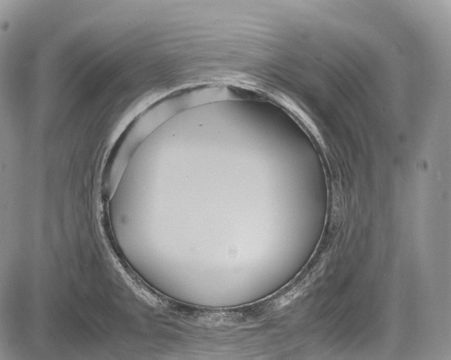 X0000081611093200702051348