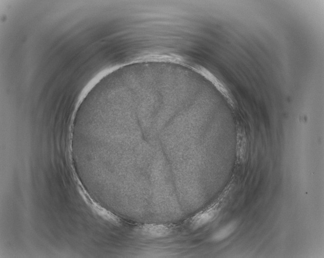 X0000081611094200702051348