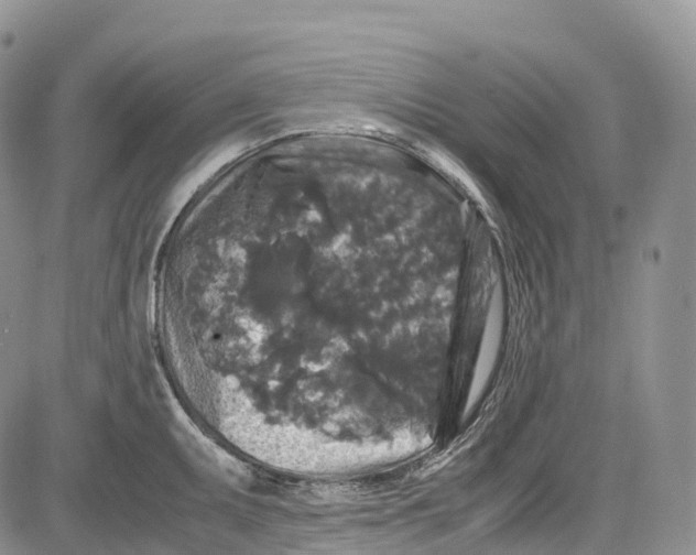 X0000081611095200702051348