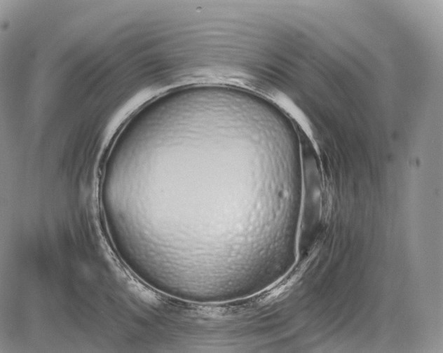 X0000081611096200702051348