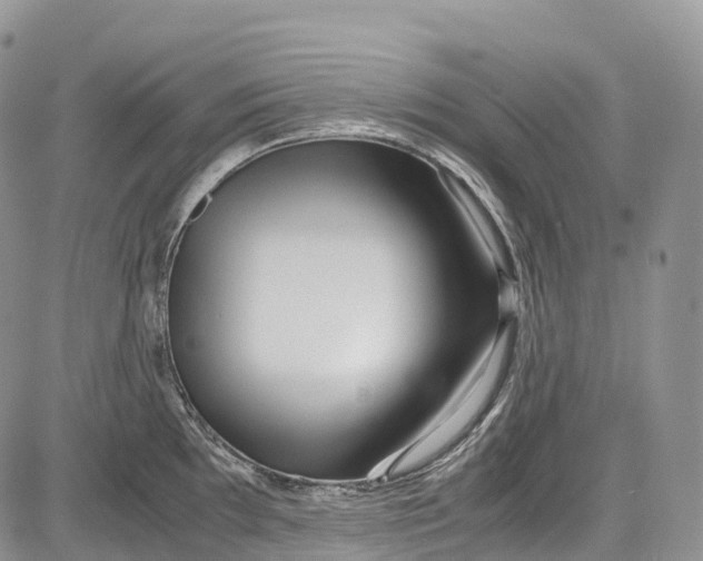 X0000081611097200702051348