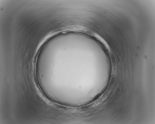 X0000081611099200702051348