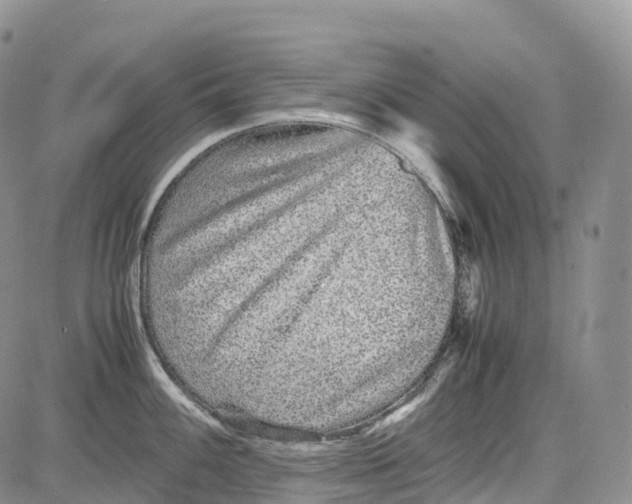 X0000081611100200702051348